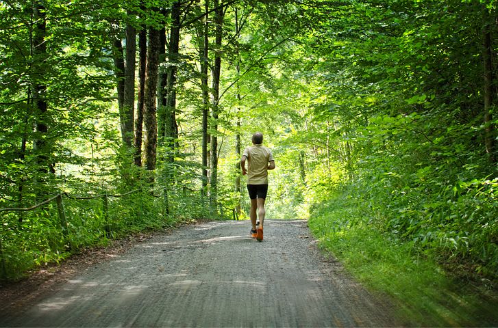männliche Person, die allein auf einem Weg in einem Laubwald joggt