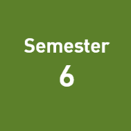 Semester 6